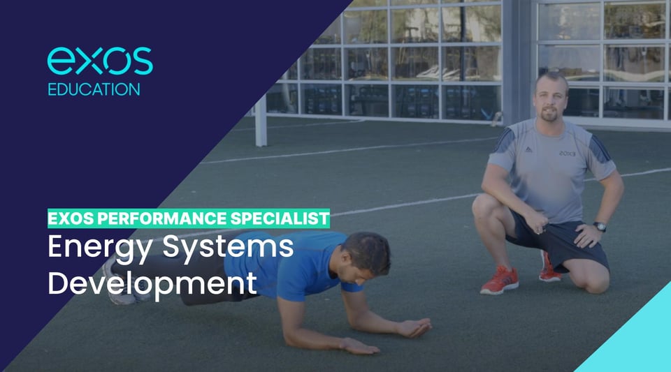 Energy Systems Development - XPS (Athletes)