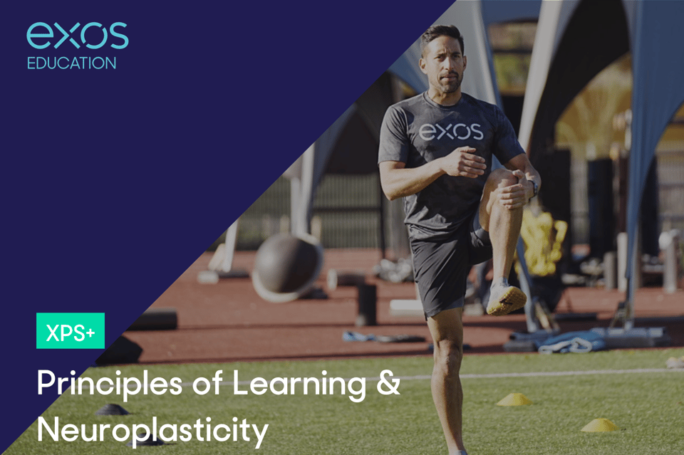 Principles of Learning & Neuroplasticity - XPS+