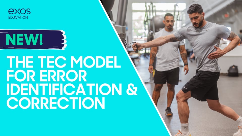 The TEC Model for Error Identification & Correction