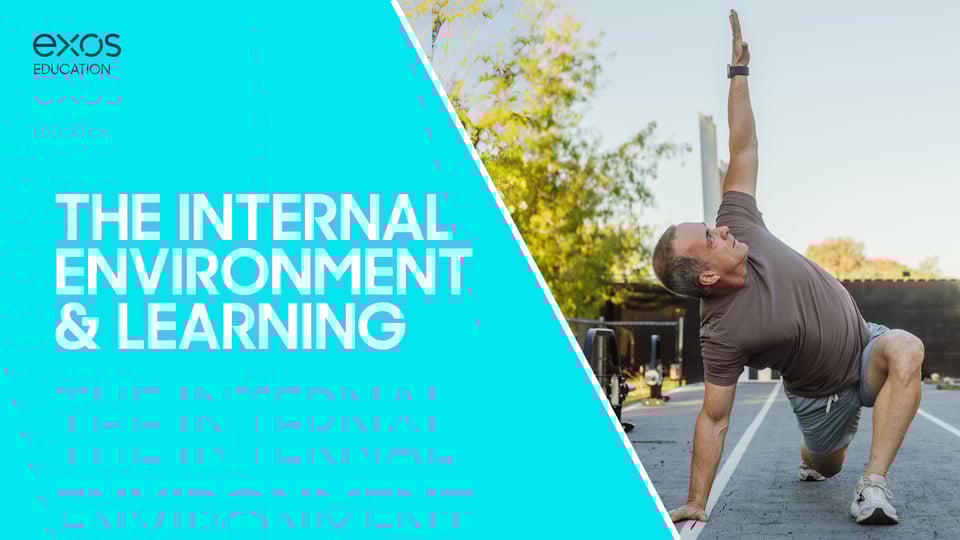 The Internal Environment & Learning