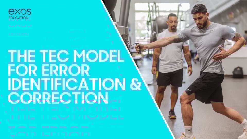 The TEC Model for Error Identification & Correction