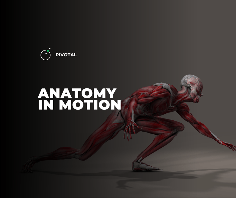 Anatomy in Motion