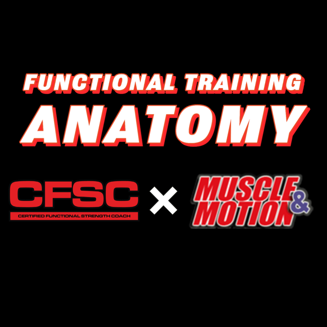 Functional Training Anatomy: An Anatomical Guide To Training 