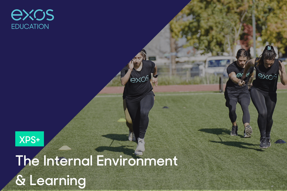 The Internal Environment & Learning - XPS+